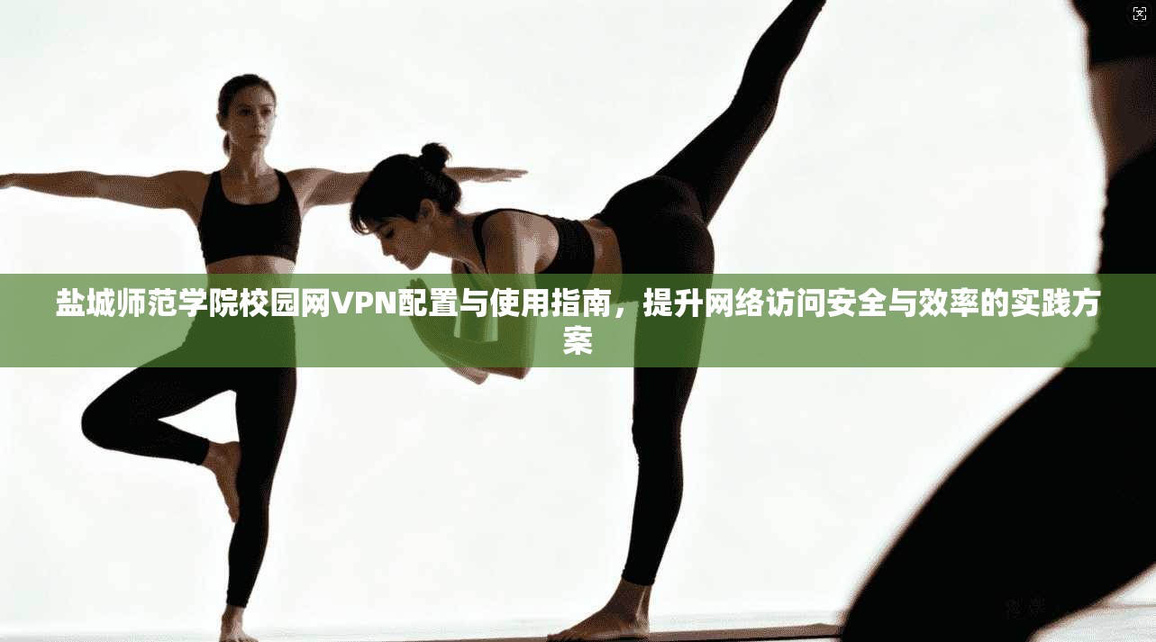 盐城师范学院校园网VPN配置与使用指南，提升网络访问安全与效率的实践方案