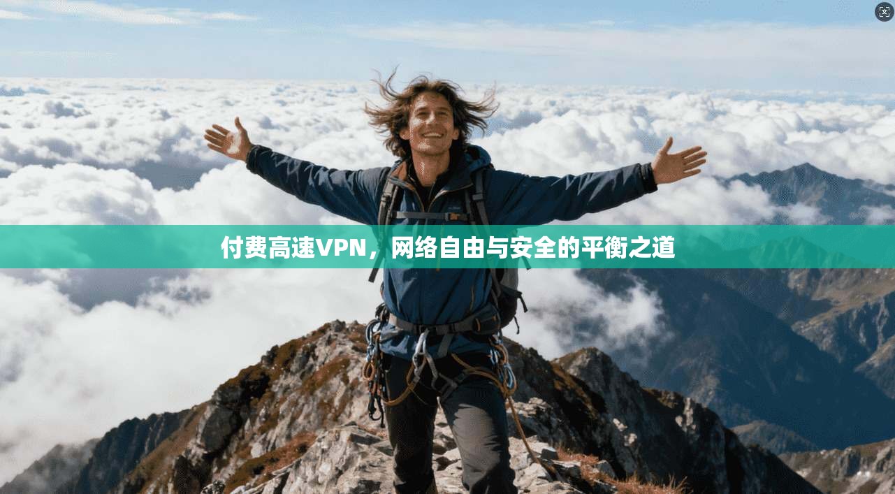 付费高速VPN，网络自由与安全的平衡之道