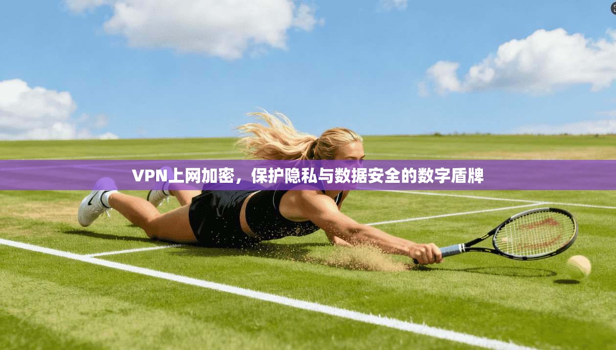 VPN上网加密，保护隐私与数据安全的数字盾牌