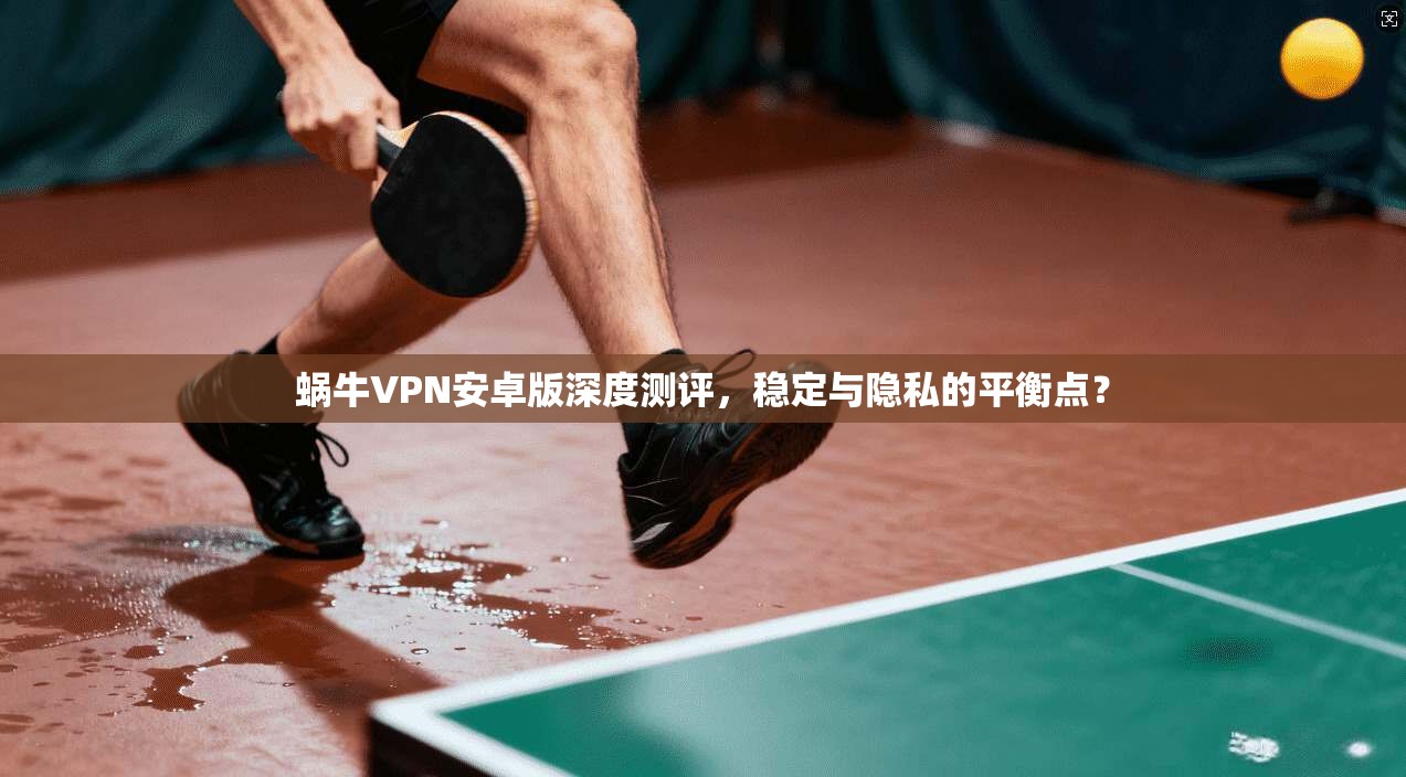 蜗牛VPN安卓版深度测评，稳定与隐私的平衡点？