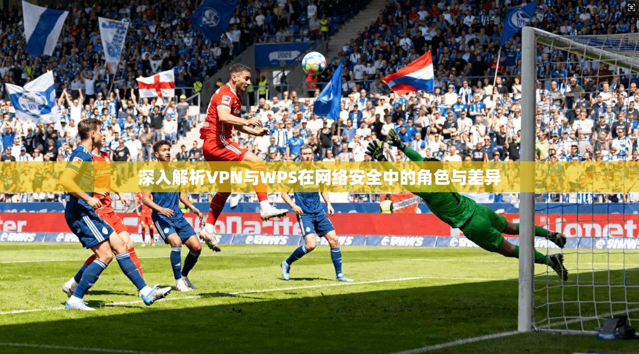 深入解析VPN与WPS在网络安全中的角色与差异