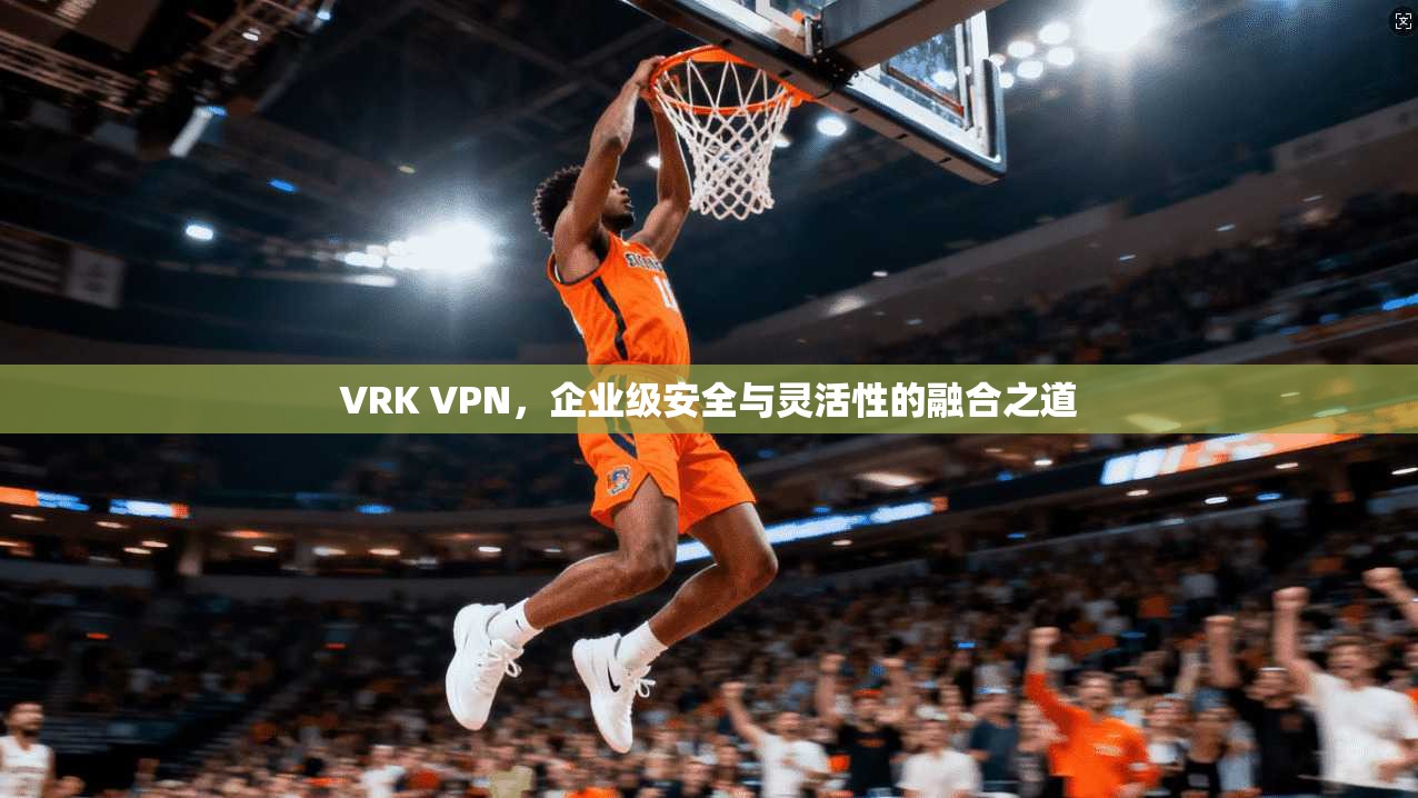 VRK VPN，企业级安全与灵活性的融合之道