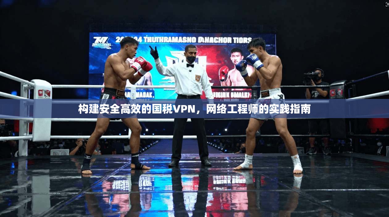 构建安全高效的国税VPN，网络工程师的实践指南