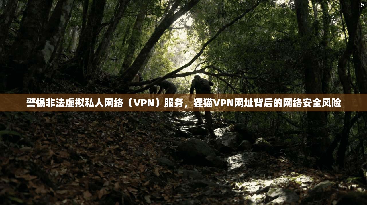 警惕非法虚拟私人网络（VPN）服务，狸猫VPN网址背后的网络安全风险
