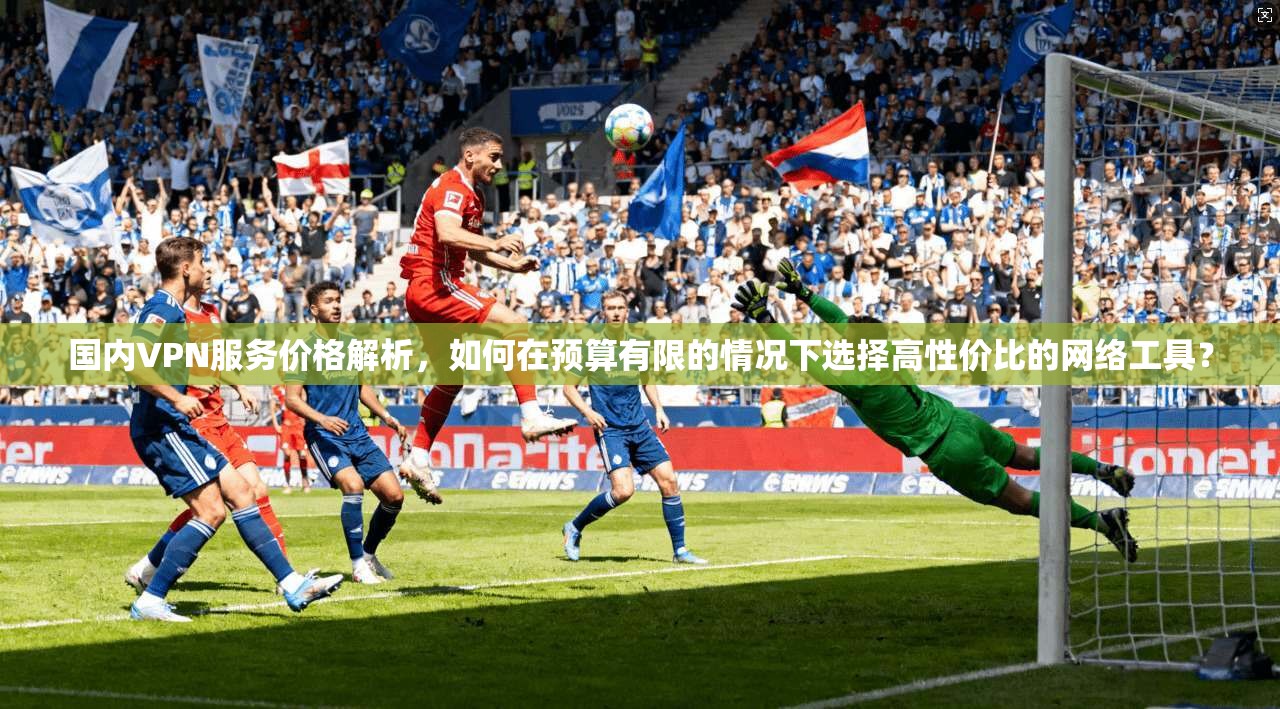 国内VPN服务价格解析，如何在预算有限的情况下选择高性价比的网络工具？