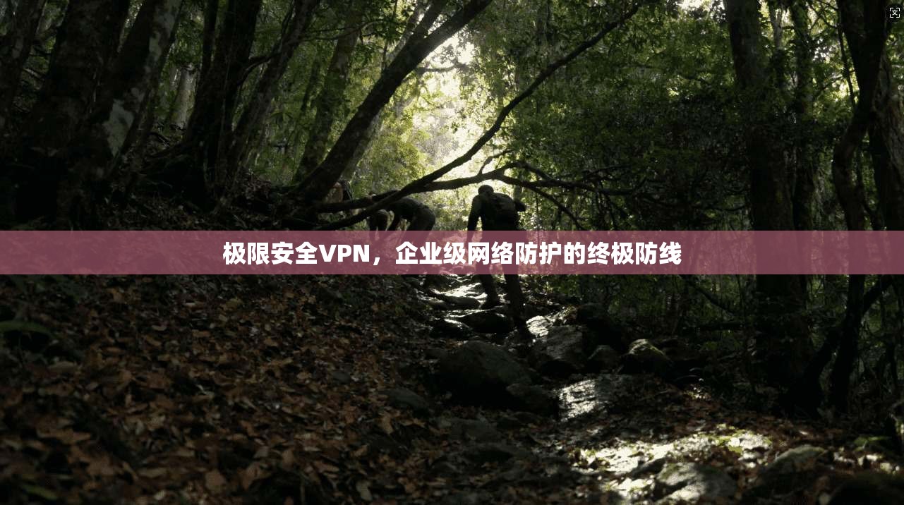极限安全VPN，企业级网络防护的终极防线