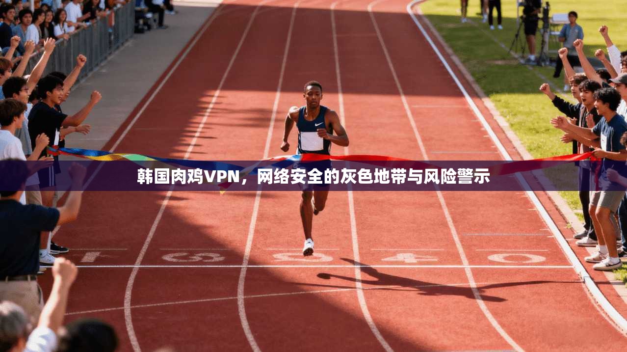 韩国肉鸡VPN，网络安全的灰色地带与风险警示