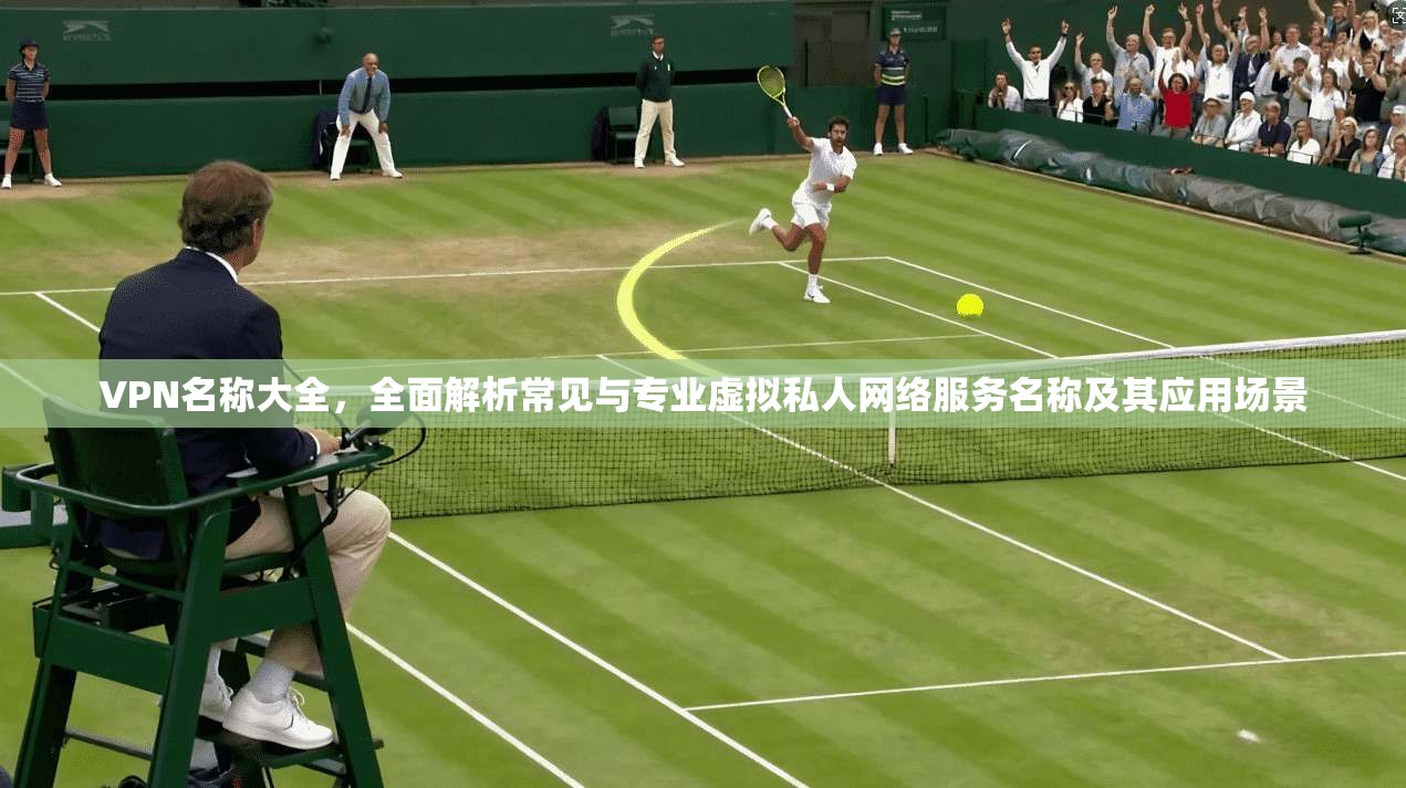VPN名称大全，全面解析常见与专业虚拟私人网络服务名称及其应用场景