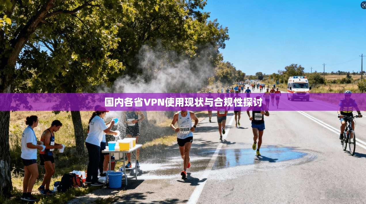 国内各省VPN使用现状与合规性探讨
