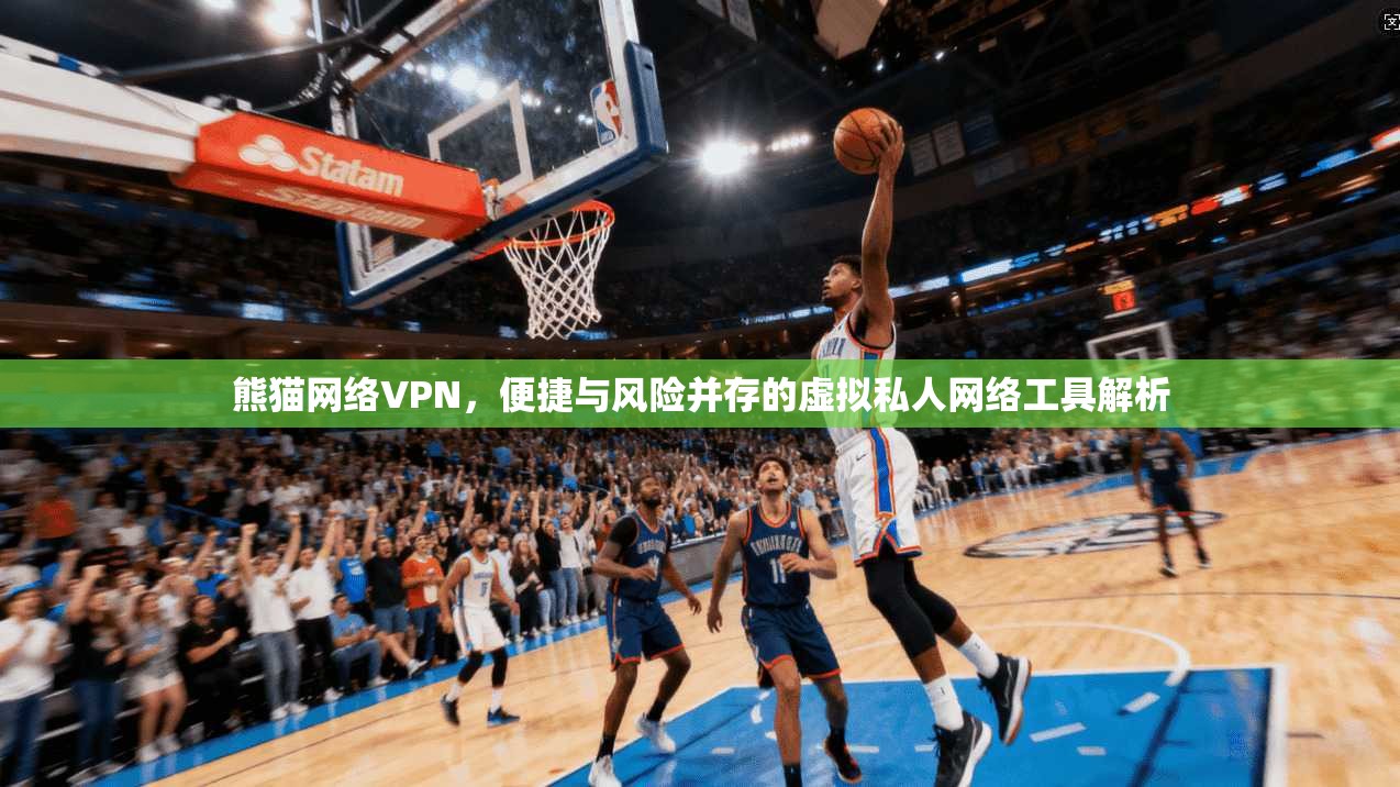 熊猫网络VPN，便捷与风险并存的虚拟私人网络工具解析