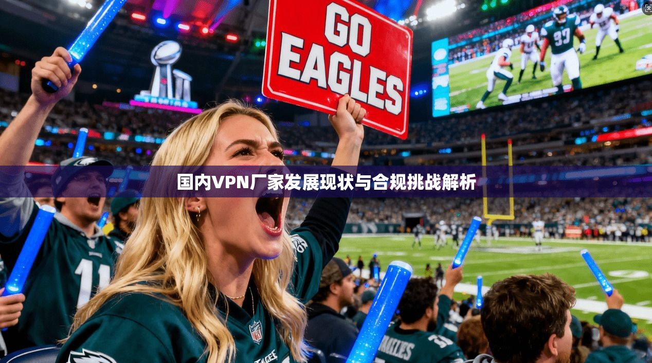 国内VPN厂家发展现状与合规挑战解析