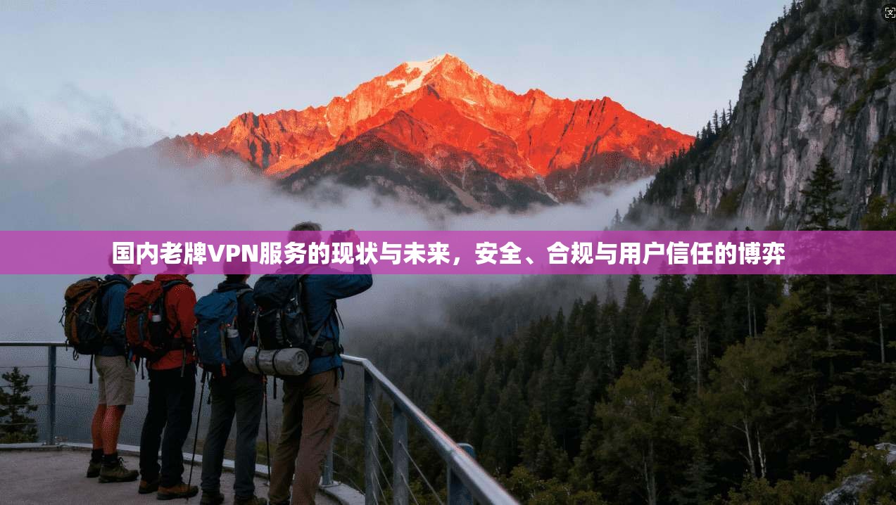 国内老牌VPN服务的现状与未来，安全、合规与用户信任的博弈