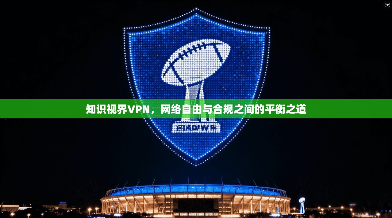 知识视界VPN，网络自由与合规之间的平衡之道