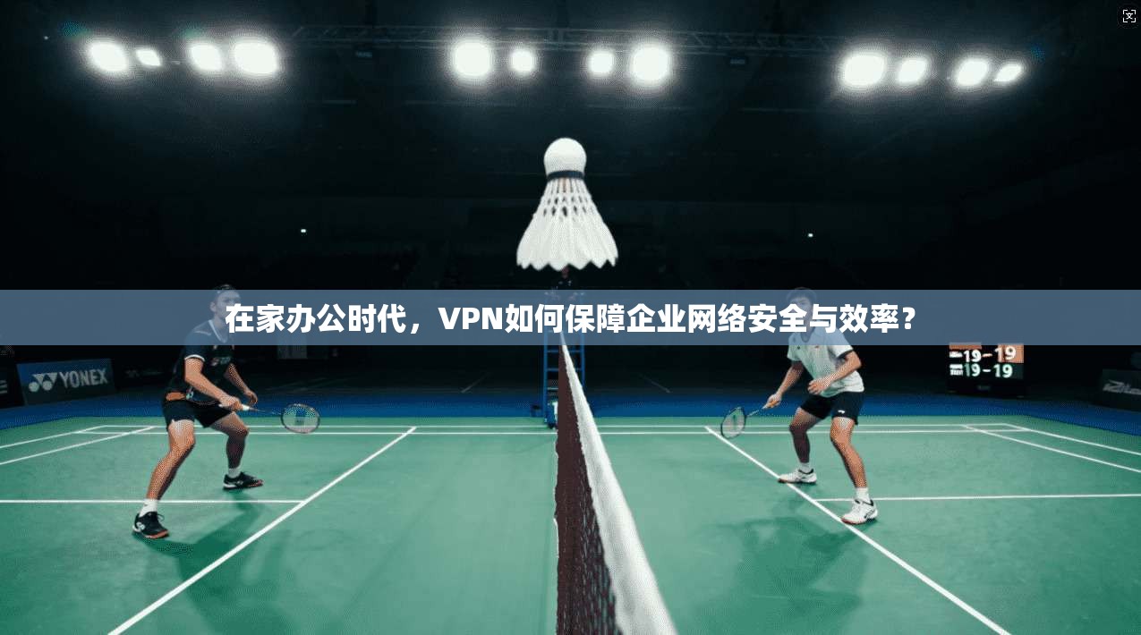 在家办公时代，VPN如何保障企业网络安全与效率？
