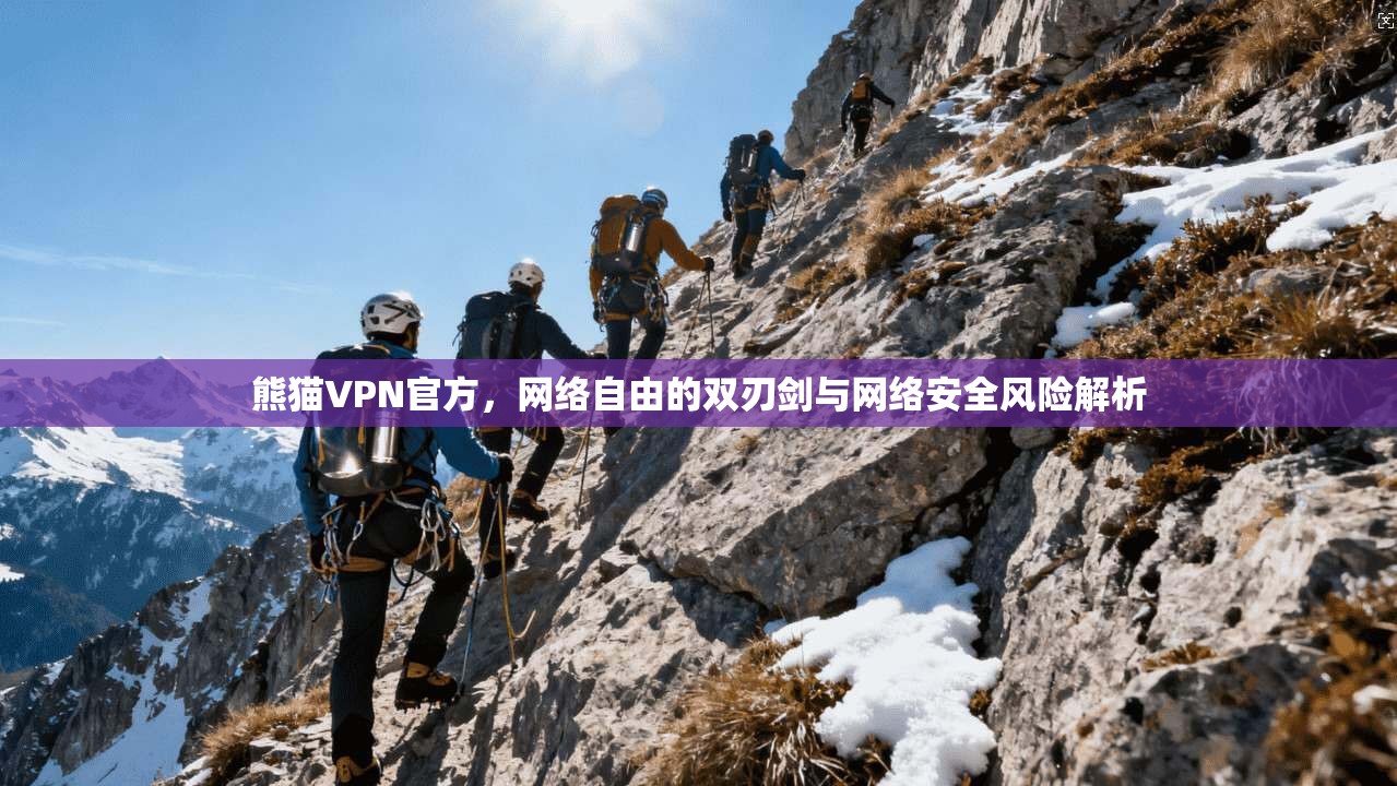 熊猫VPN官方，网络自由的双刃剑与网络安全风险解析