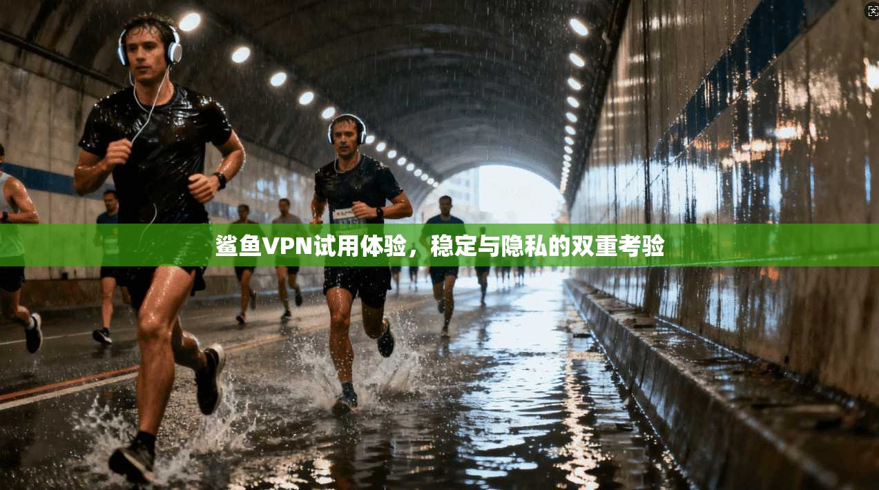 鲨鱼VPN试用体验，稳定与隐私的双重考验