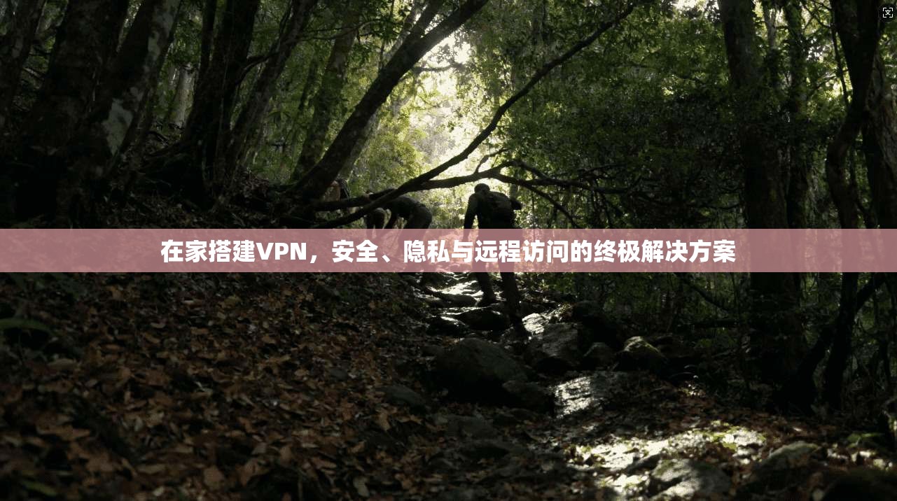 在家搭建VPN，安全、隐私与远程访问的终极解决方案