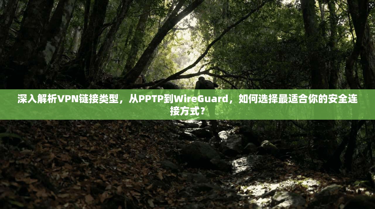 深入解析VPN链接类型，从PPTP到WireGuard，如何选择最适合你的安全连接方式？