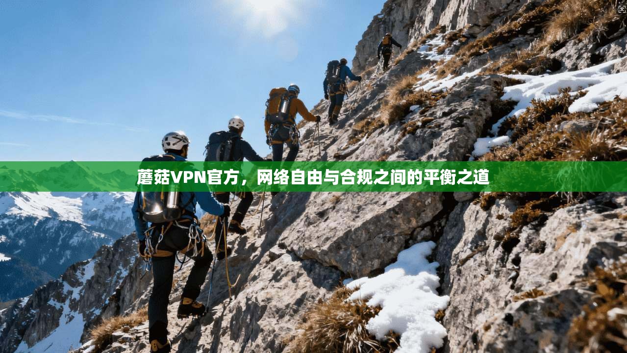 蘑菇VPN官方，网络自由与合规之间的平衡之道