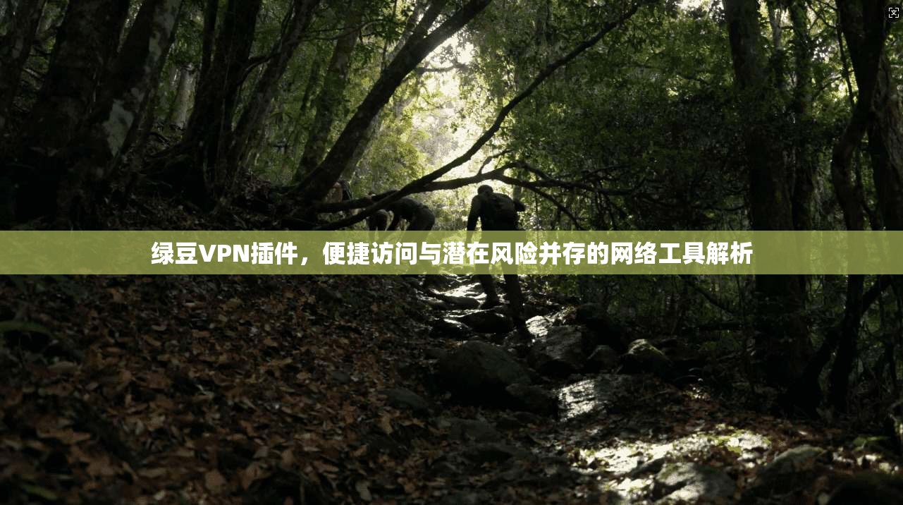 绿豆VPN插件，便捷访问与潜在风险并存的网络工具解析