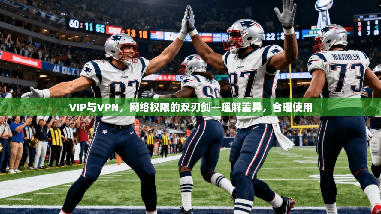 VIP与VPN，网络权限的双刃剑—理解差异，合理使用