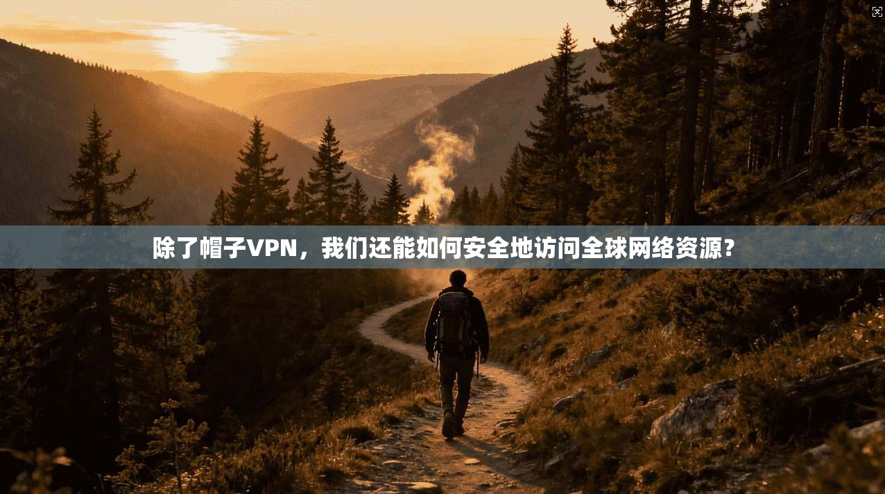 除了帽子VPN，我们还能如何安全地访问全球网络资源？
