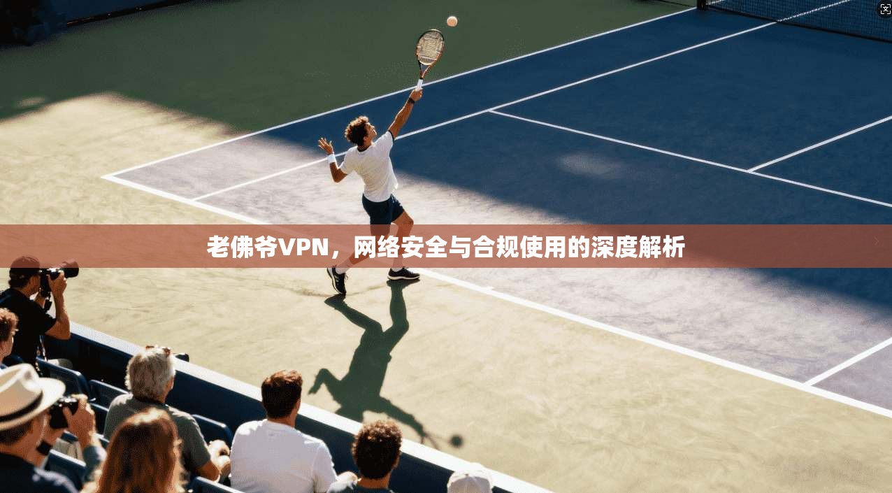 老佛爷VPN，网络安全与合规使用的深度解析
