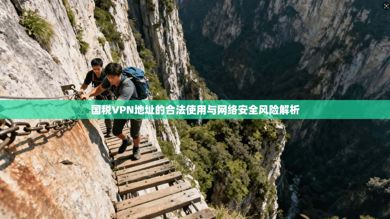 国税VPN地址的合法使用与网络安全风险解析