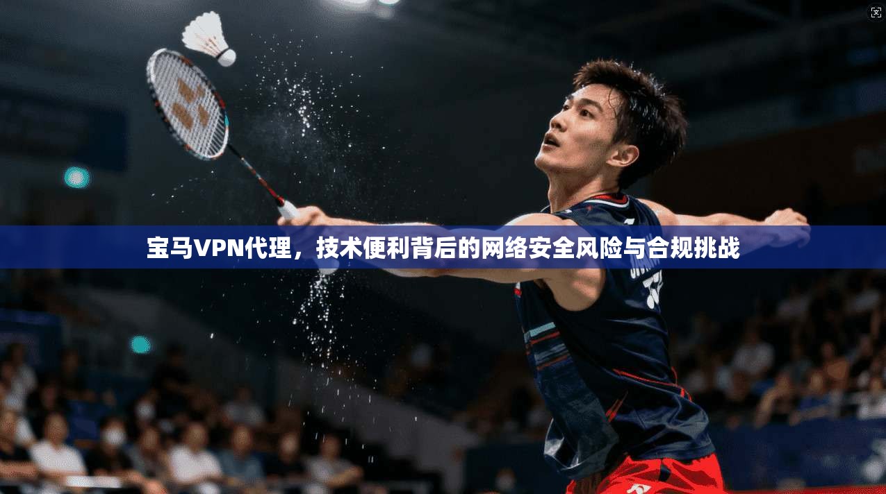 宝马VPN代理，技术便利背后的网络安全风险与合规挑战