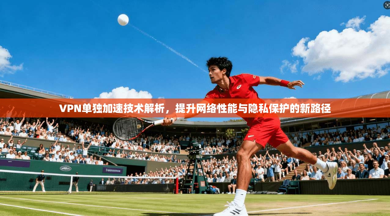 VPN单独加速技术解析，提升网络性能与隐私保护的新路径