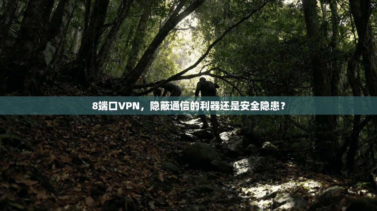 8端口VPN，隐蔽通信的利器还是安全隐患？