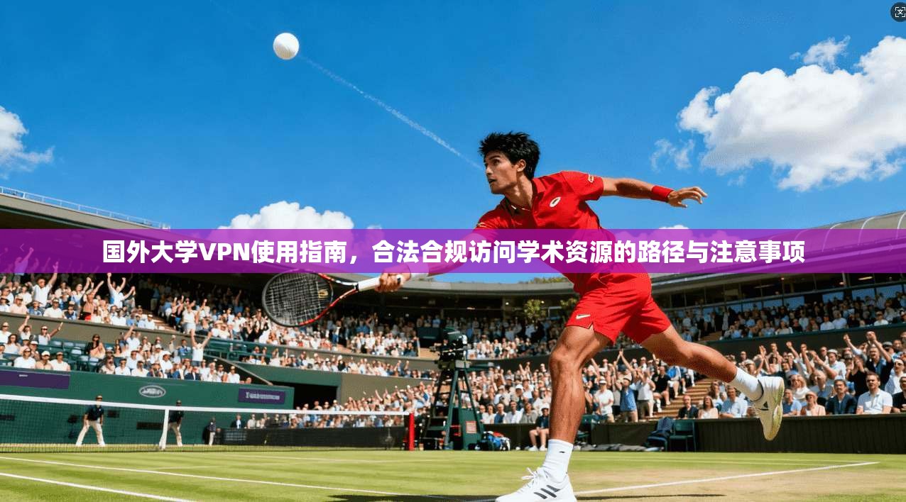 国外大学VPN使用指南，合法合规访问学术资源的路径与注意事项