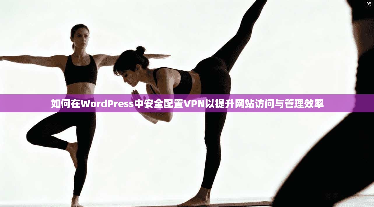 如何在WordPress中安全配置VPN以提升网站访问与管理效率