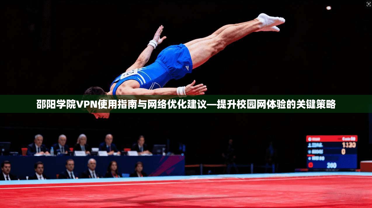 邵阳学院VPN使用指南与网络优化建议—提升校园网体验的关键策略