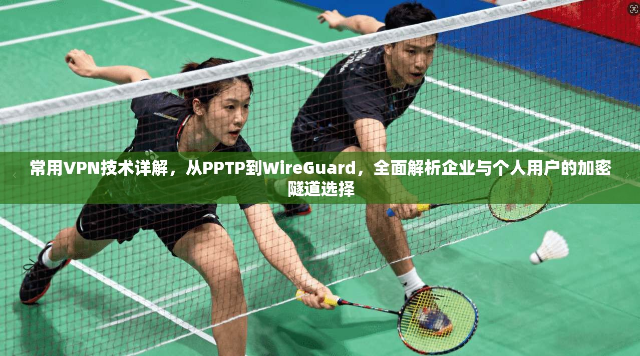 常用VPN技术详解，从PPTP到WireGuard，全面解析企业与个人用户的加密隧道选择