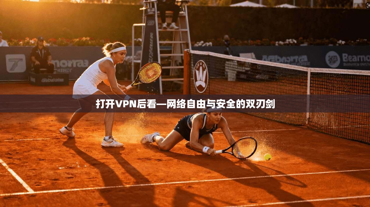 打开VPN后看—网络自由与安全的双刃剑