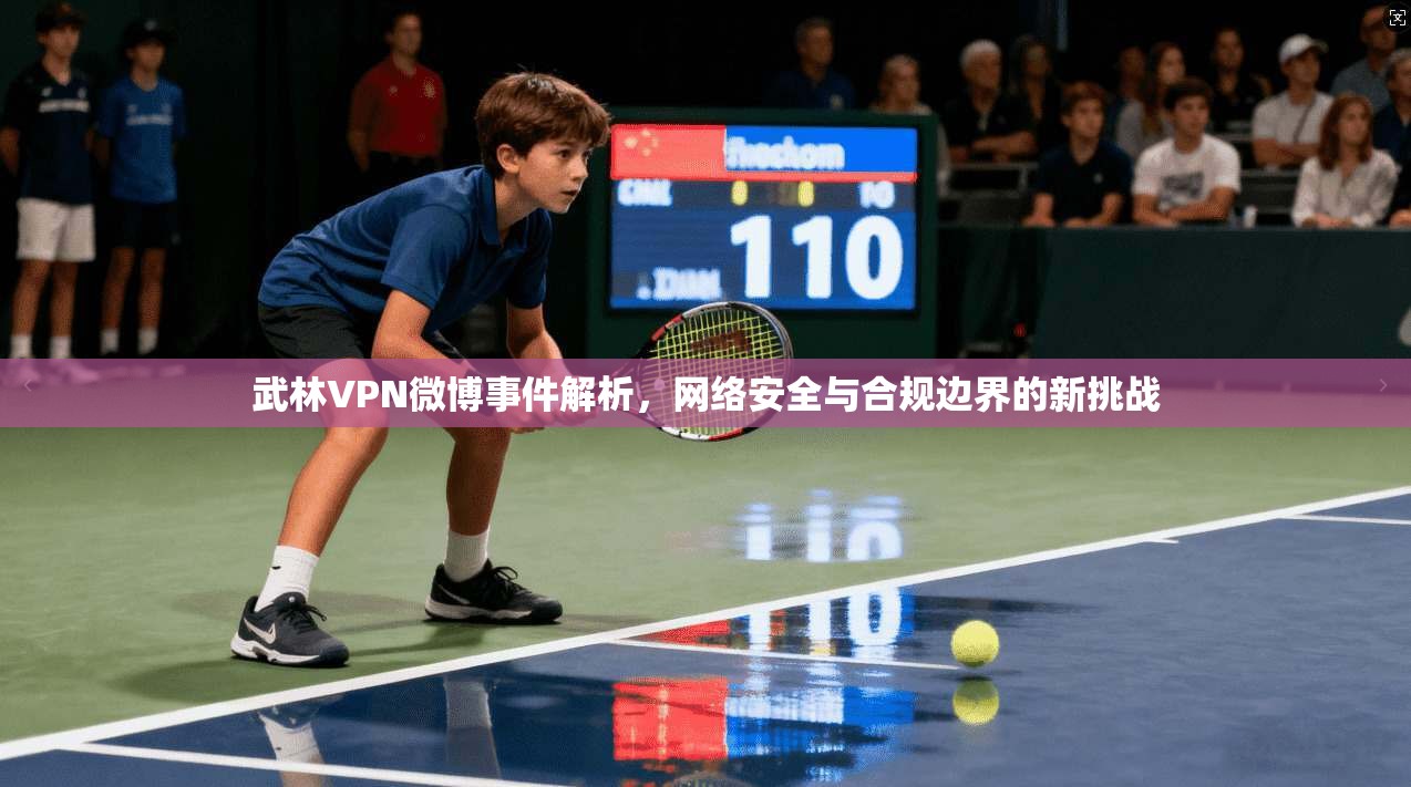 武林VPN微博事件解析，网络安全与合规边界的新挑战