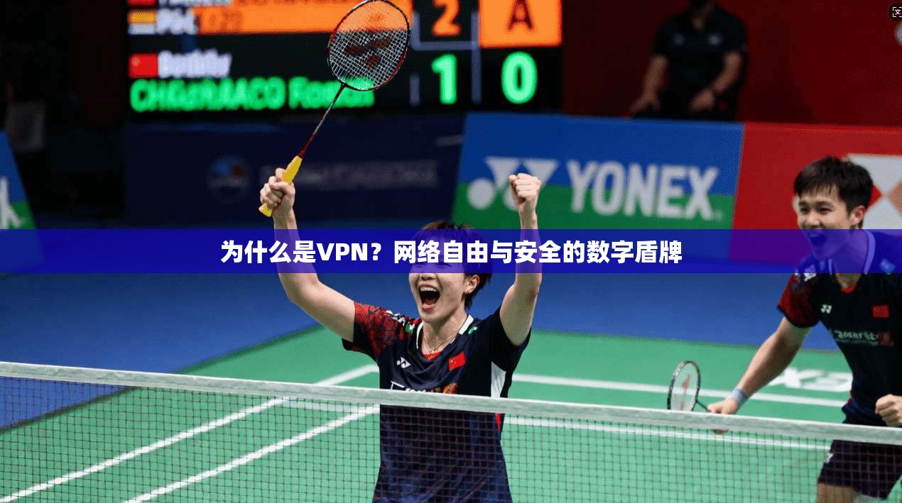 为什么是VPN？网络自由与安全的数字盾牌