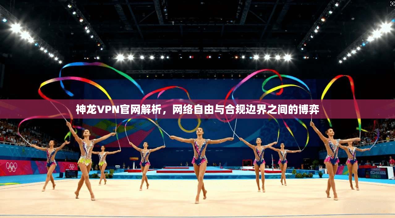 神龙VPN官网解析，网络自由与合规边界之间的博弈