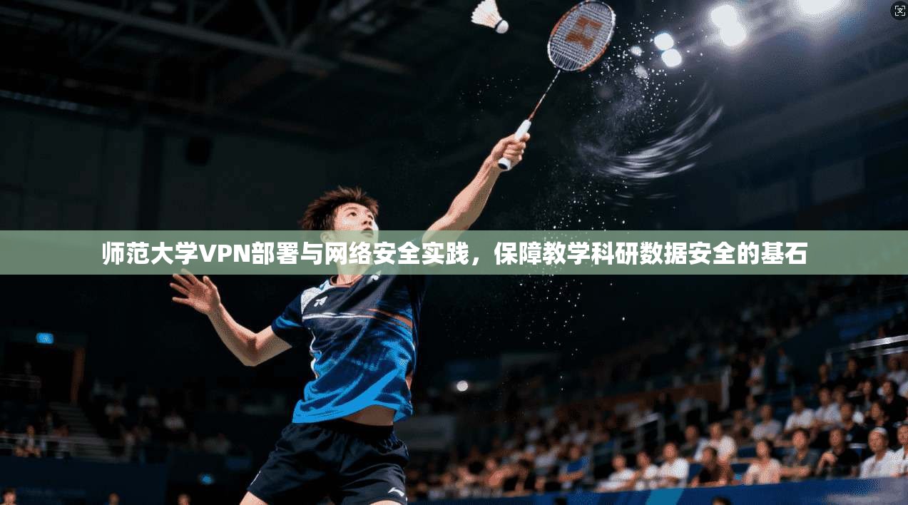 师范大学VPN部署与网络安全实践，保障教学科研数据安全的基石