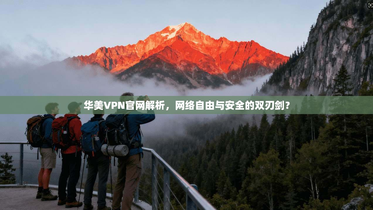 华美VPN官网解析，网络自由与安全的双刃剑？