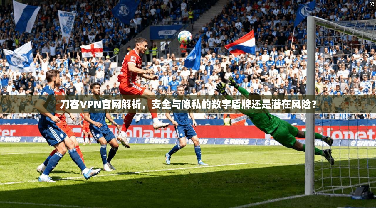 刀客VPN官网解析，安全与隐私的数字盾牌还是潜在风险？