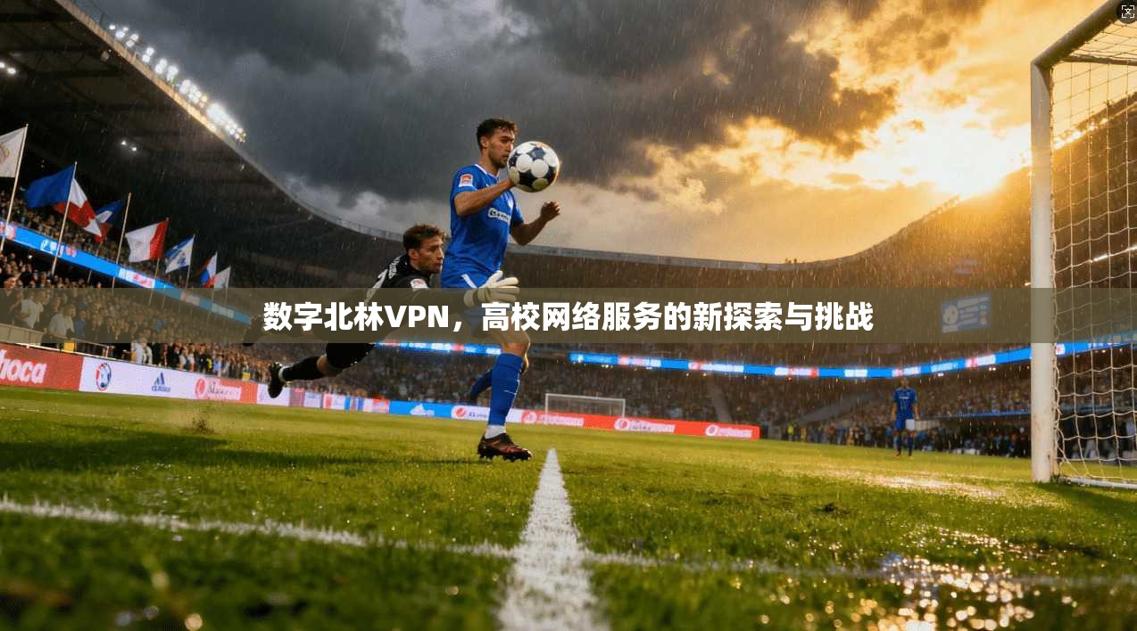 数字北林VPN，高校网络服务的新探索与挑战