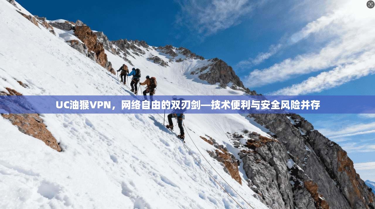 UC油猴VPN，网络自由的双刃剑—技术便利与安全风险并存