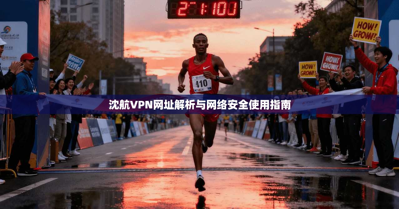 沈航VPN网址解析与网络安全使用指南