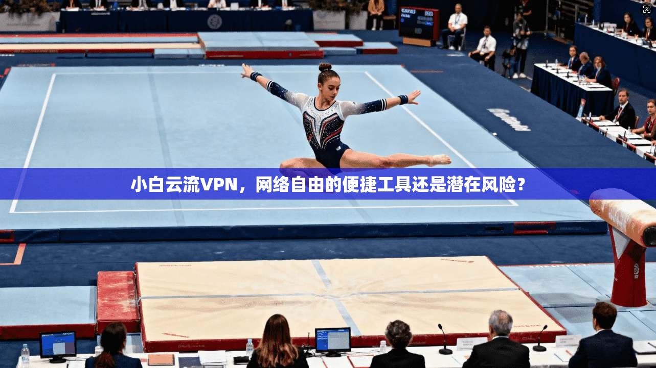 小白云流VPN，网络自由的便捷工具还是潜在风险？