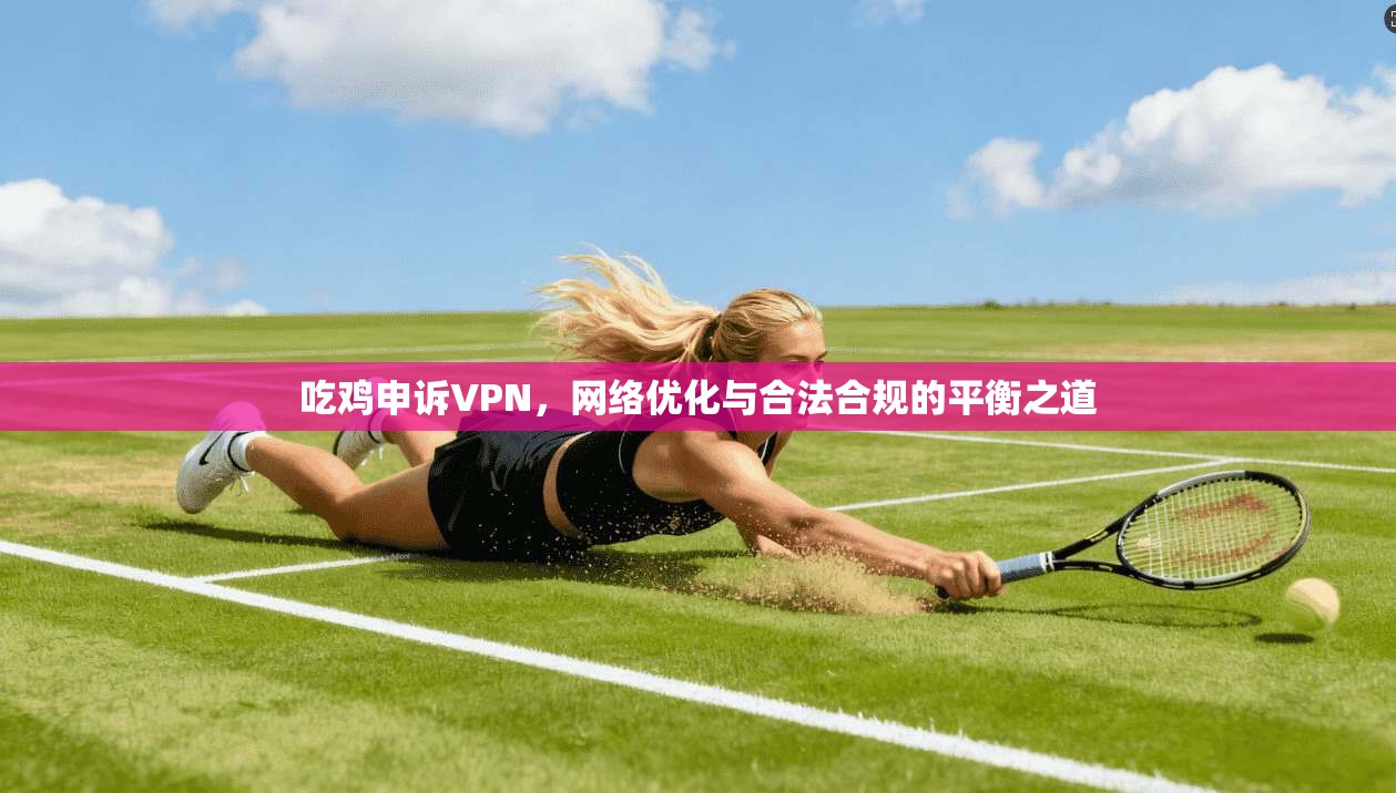 吃鸡申诉VPN，网络优化与合法合规的平衡之道