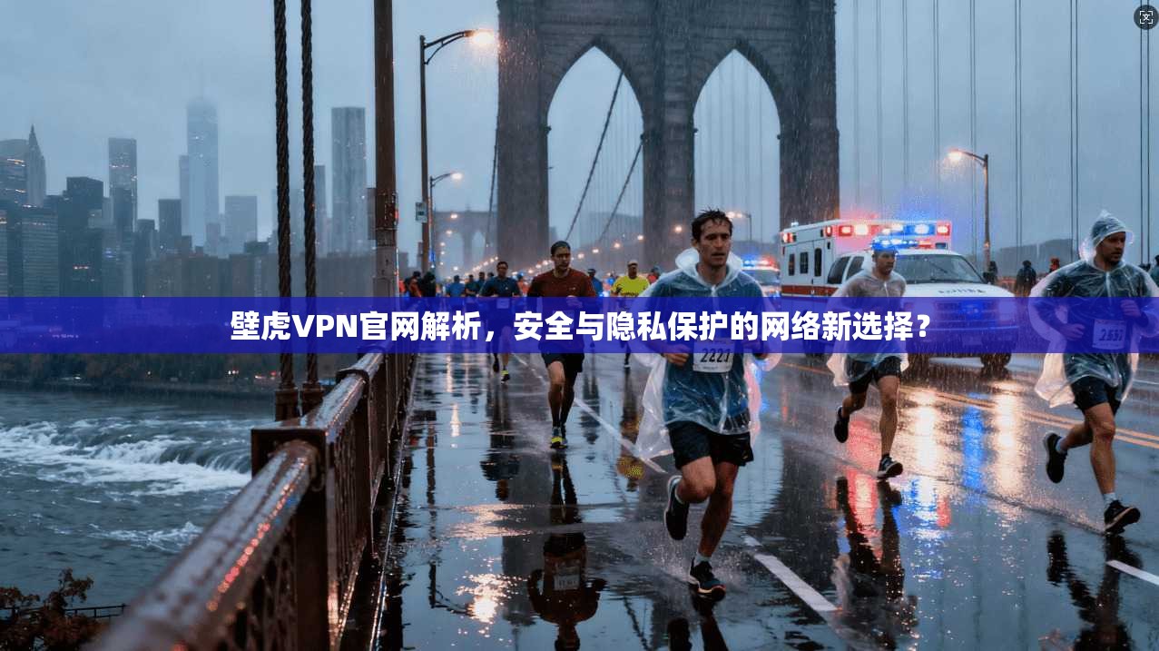 壁虎VPN官网解析，安全与隐私保护的网络新选择？