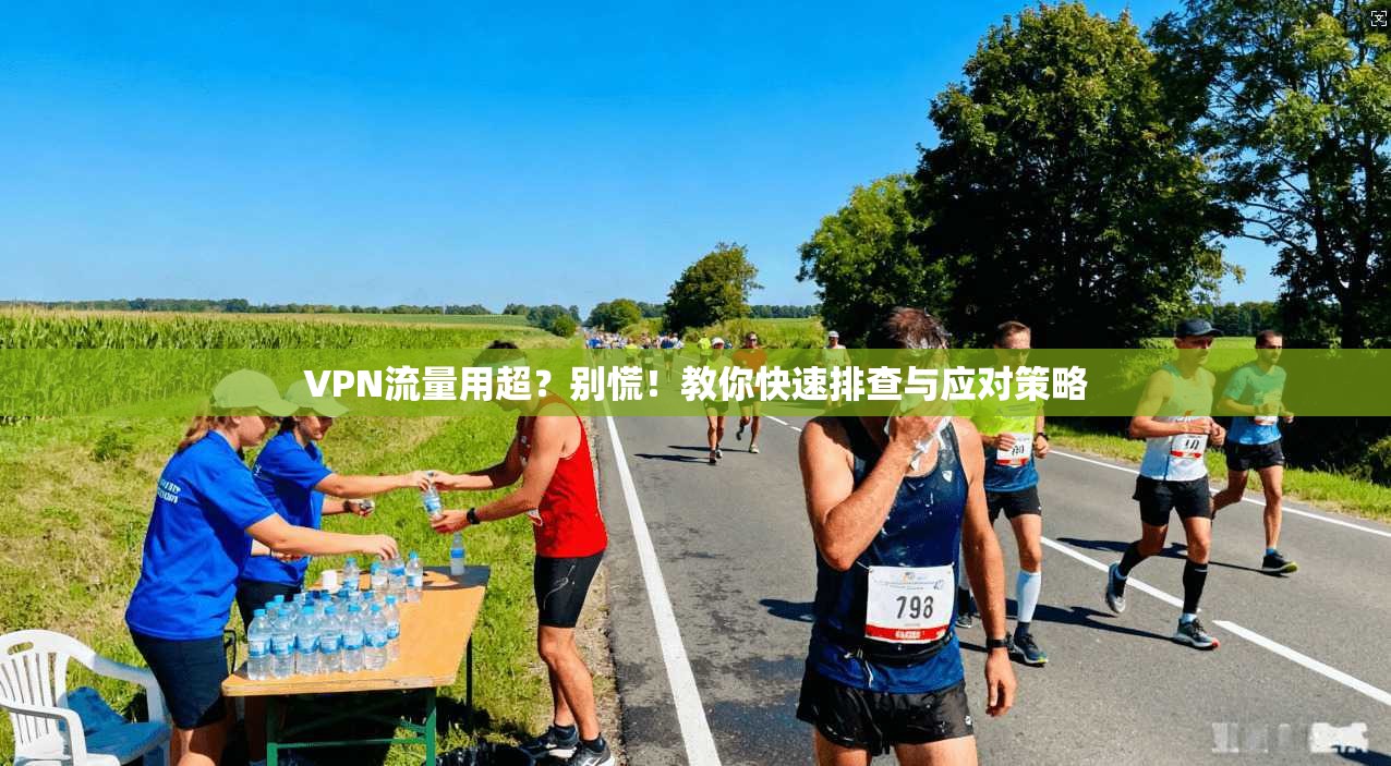 VPN流量用超？别慌！教你快速排查与应对策略