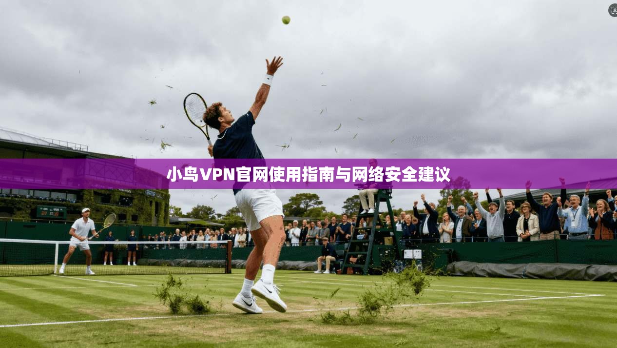 小鸟VPN官网使用指南与网络安全建议